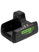 Зарядное устройство Greenworks G60DC10 60V для двух аккумуляторов