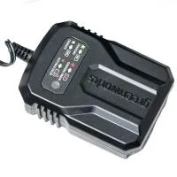 Зарядное устройство Greenworks G40UCM2M 40V
