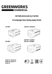 2951407-akkumulyator-greenworks-82v-8-ach-g82b8