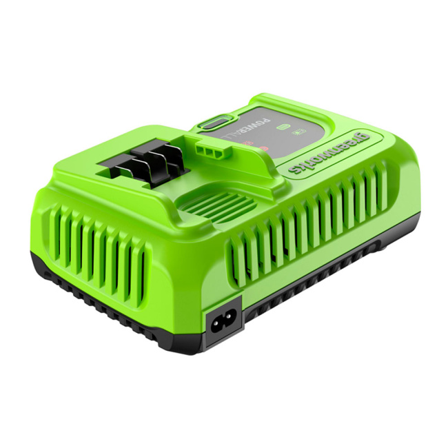 Зарядное устройство Greenworks G24C8 24V