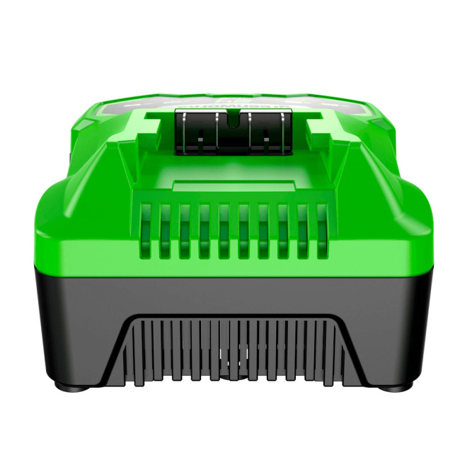 Зарядное устройство Greenworks G24С4 24V