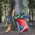 Пила цепная Greenworks G24CS25 24V аккумуляторная Пила цепная Greenworks G24CS25 24V аккумуляторная
