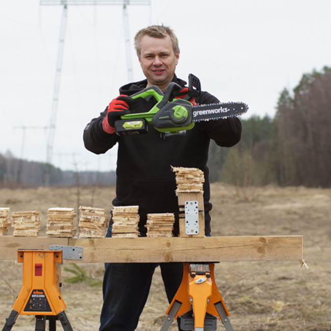 Пила цепная Greenworks G24CS25 24V аккумуляторная