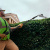 Кусторез штанговый Greenworks PH662T 82V аккумуляторный Кусторез штанговый Greenworks PH662T 82V аккумуляторный
