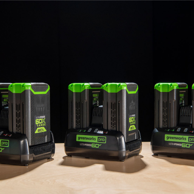 Зарядное устройство Greenworks G60DC10 60V для двух аккумуляторов