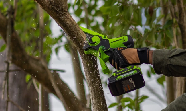 Мини-пила цепная Greenworks GD24CSMNX 24V аккумуляторная