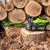 Пила цепная Greenworks GD60CS25 60V аккумуляторная Пила цепная Greenworks GD60CS25 60V аккумуляторная