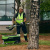 Зарядное устройство для 6 аккумуляторов Greenworks G82CT6 82V Зарядное устройство для 6 аккумуляторов Greenworks G82CT6 82V