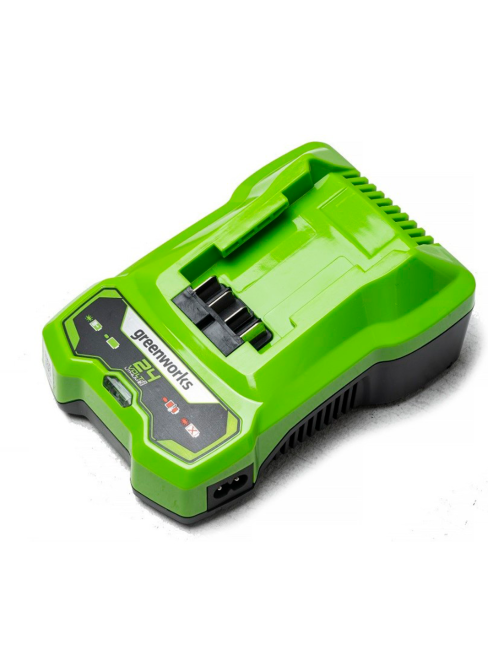 Зарядное устройство Greenworks G24С4 24V