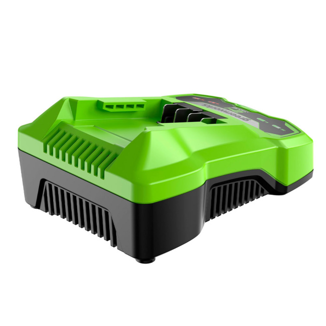Зарядное устройство Greenworks G24С4 24V