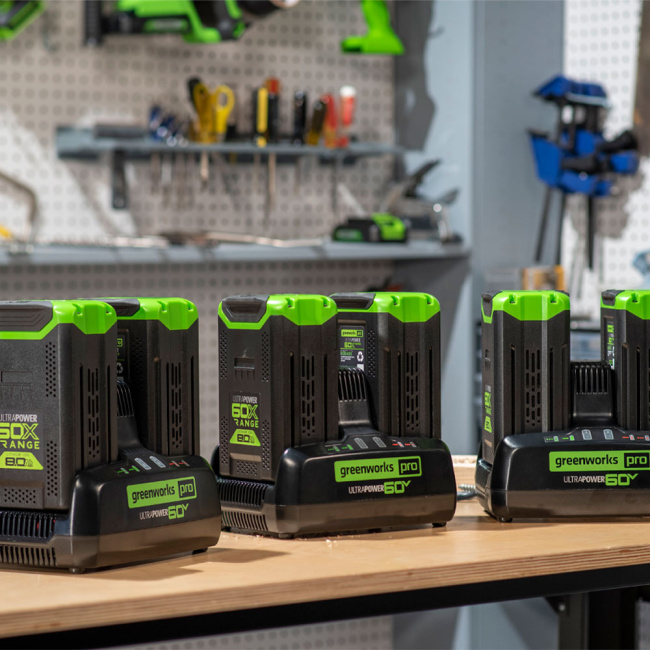 Зарядное устройство Greenworks G60DC10 60V для двух аккумуляторов
