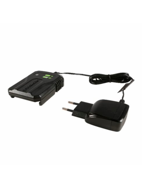 Зарядное устройство Greenworks G40UCM2M 40V