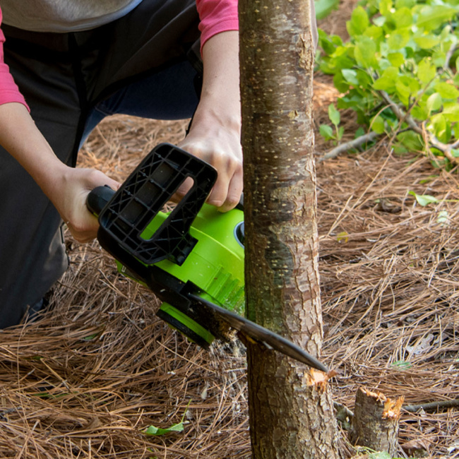 Пила цепная Greenworks GD24CS30 24V аккумуляторная