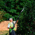 Кусторез штанговый Greenworks PH662T 82V аккумуляторный Кусторез штанговый Greenworks PH662T 82V аккумуляторный
