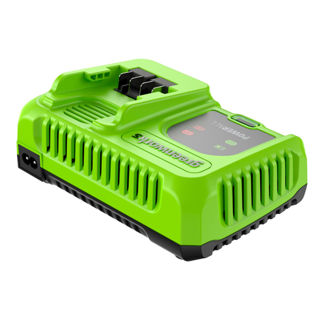 Зарядное устройство Greenworks G24C8 24V
