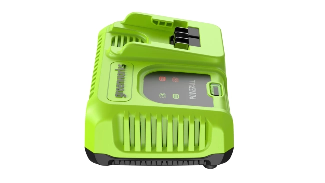 Зарядное устройство Greenworks G24C8 24V